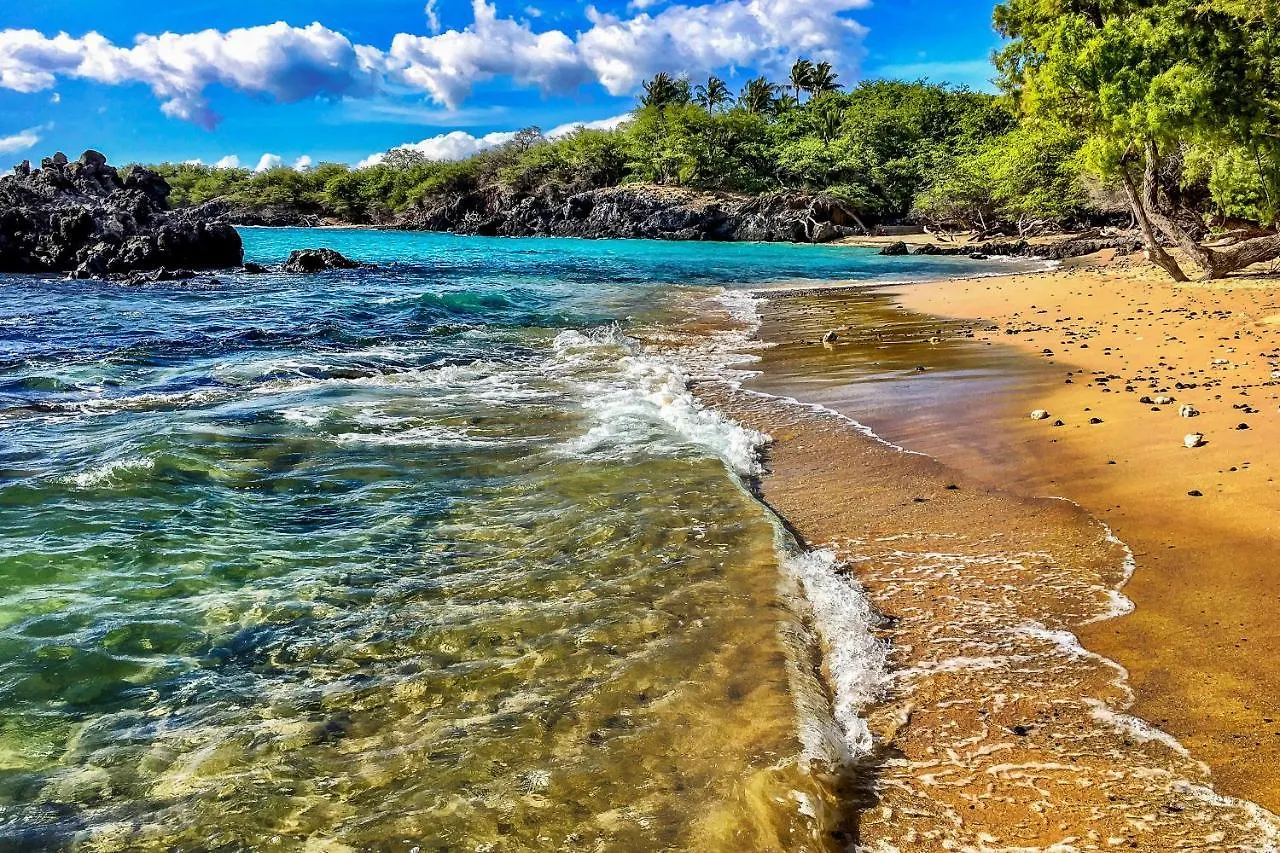 شقة Kona Bali Kai #230 كايلو كونا 0*, كايلو كونا الولايات المتحدة الأمريكية